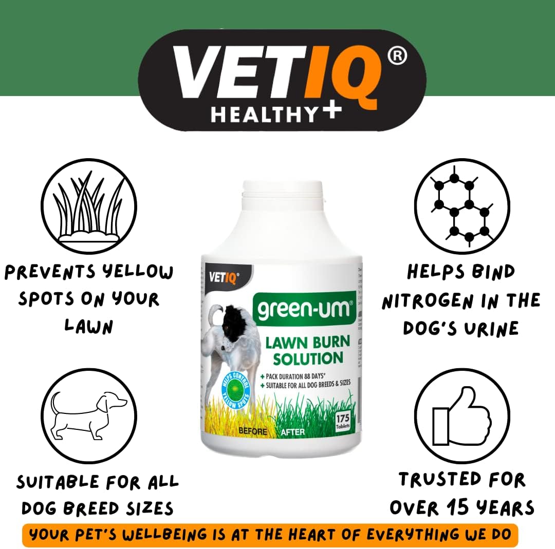 VETIQ Green-Um, 175 Tablets, Lawn Burn Solution, Prevents Yellow Spots, Neutraliser for Dog Urine