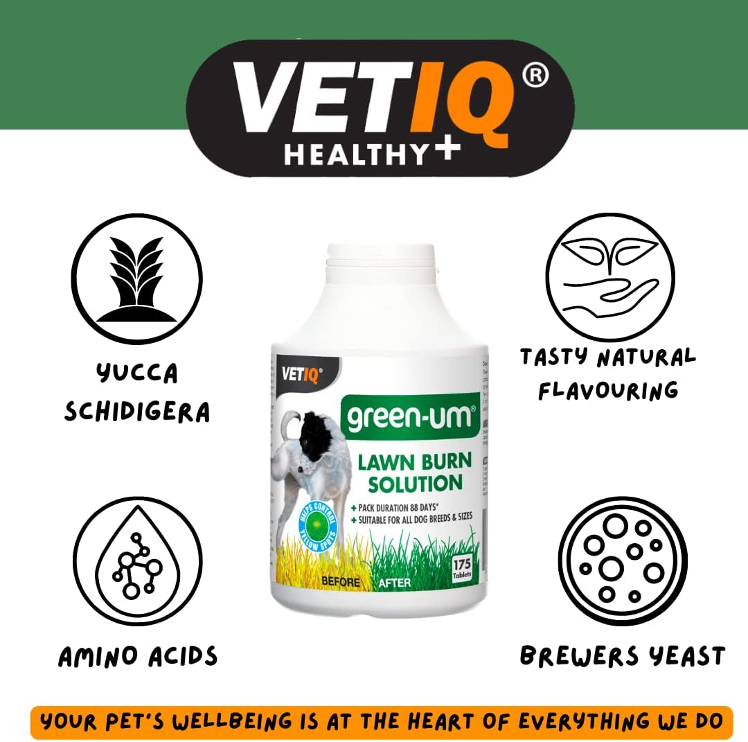 VETIQ Green-Um, 175 Tablets, Lawn Burn Solution, Prevents Yellow Spots, Neutraliser for Dog Urine