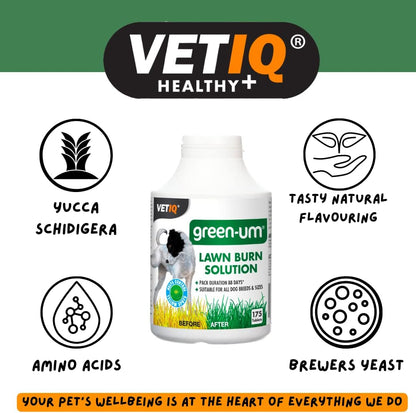 VETIQ Green-Um, 175 Tablets, Lawn Burn Solution, Prevents Yellow Spots, Neutraliser for Dog Urine