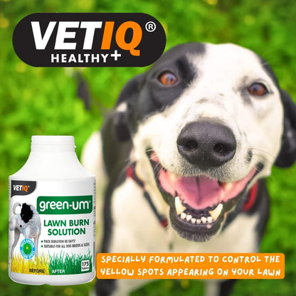 VETIQ Green-Um, 175 Tablets, Lawn Burn Solution, Prevents Yellow Spots, Neutraliser for Dog Urine