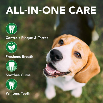 Vet’s Best Dental Care Kit - Fresh Breath & Plaque Control