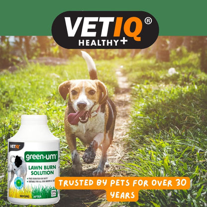 VETIQ Green-Um, 175 Tablets, Lawn Burn Solution, Prevents Yellow Spots, Neutraliser for Dog Urine