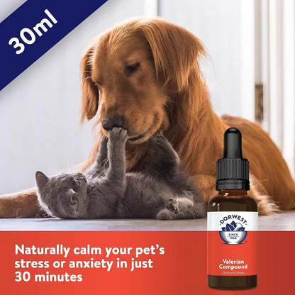 Dorwest Herbs Valerian Compound: 30ml Calming Solution for Dogs & Cats