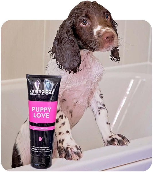 Puppy Love Dog Shampoo - Gentle Care for Young Skin - Gentle Care for Young Skin