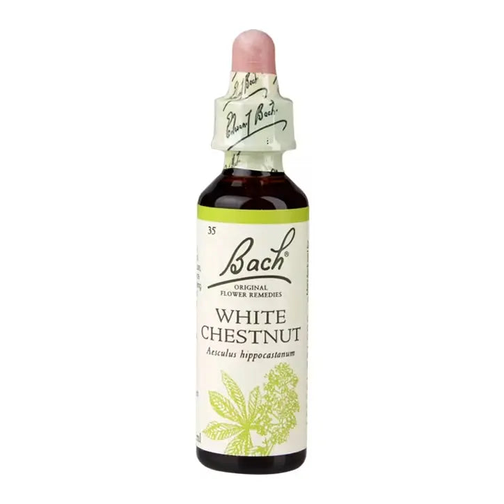 Bach White Chestnut Flower Remedy for Emotional Wellness