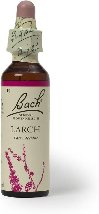 Bach Flower Remedies Larch for Emotional Wellness