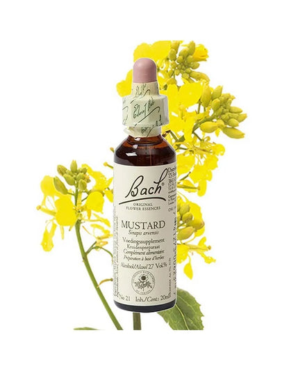 Bach Flower Remedies Mustard 20ml Natural Emotional Wellness Support