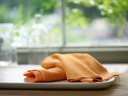 E-Cloth Glass Window Pack 2 Microfibre Cloths for Chemical-Free Cleaning