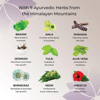 Ayumi Herbal Henna Conditioning Treatment with 9 Himalayan Herbs