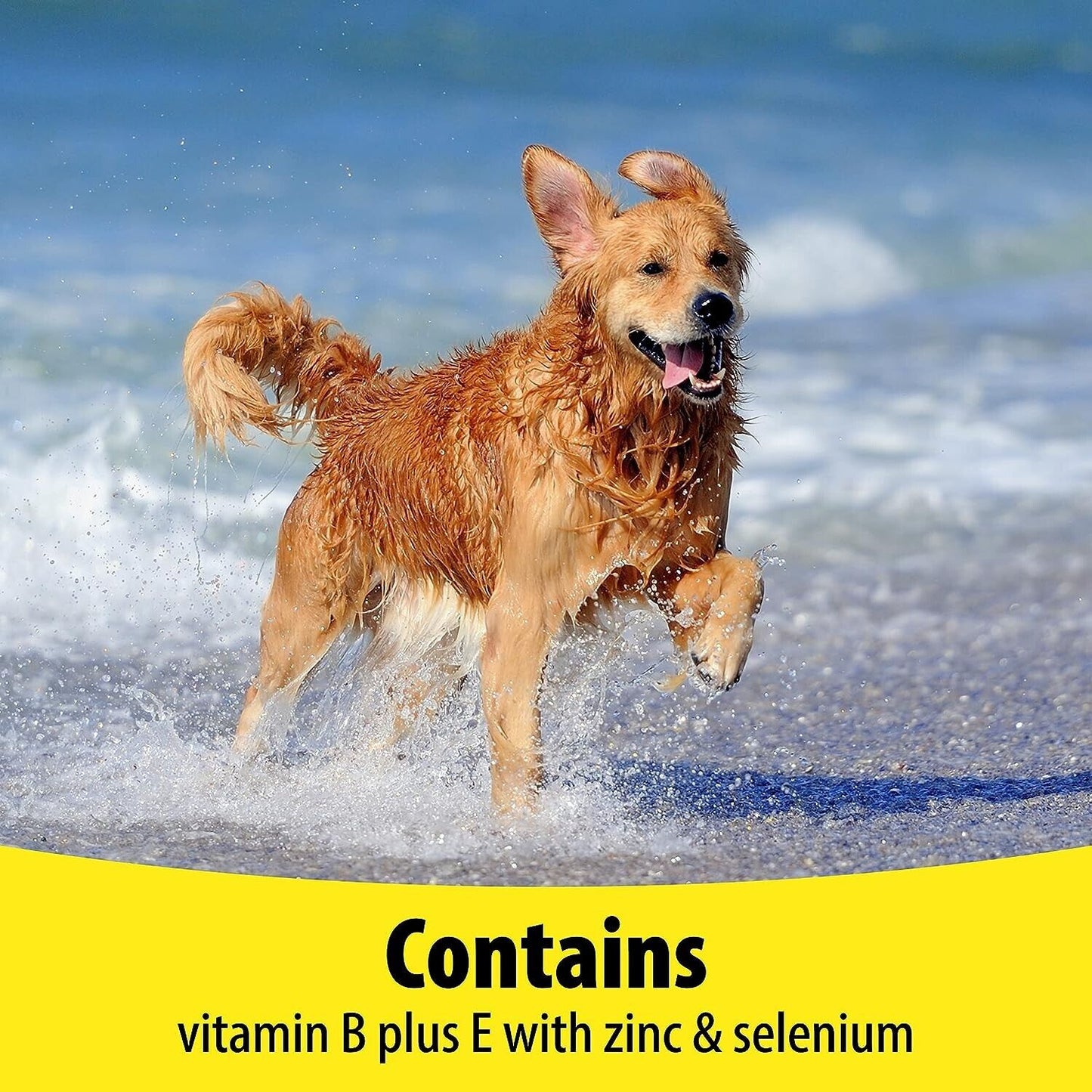 Vetzyme B Plus E Tablets: Dogs, 200 Tabs - Muscle Tone Support