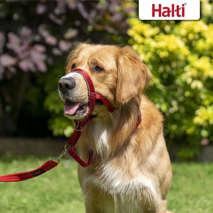 Halti Headcollar - Size 3 - Red | Adjustable, Padded and Effective No-Pull Training Tool for Dogs