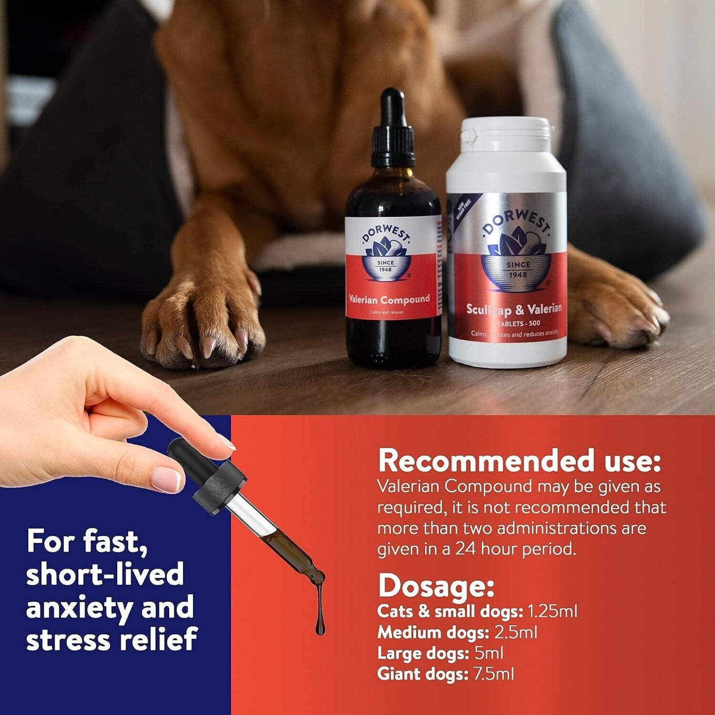 Dorwest Herbs Valerian Compound: 30ml Calming Solution for Dogs & Cats