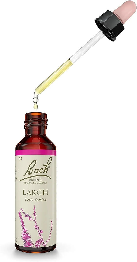 Bach Flower Remedies Larch for Emotional Wellness