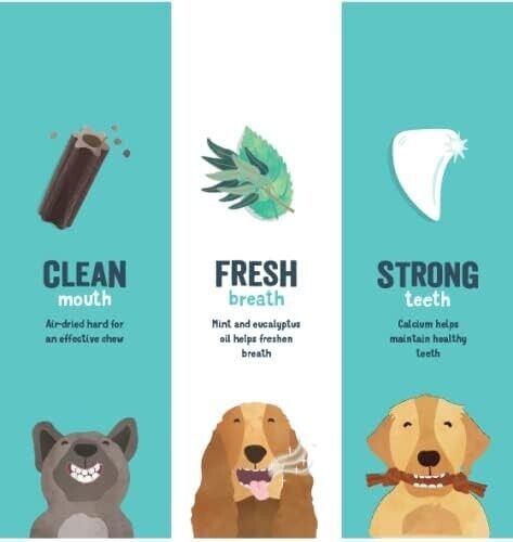 Fresh Breath and Oral Health, Natural Big Dog Dental Sticks